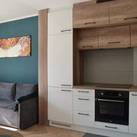 Apartment Sosnowiec City - Free Parking - Easy Check-In Екстер'єр фото